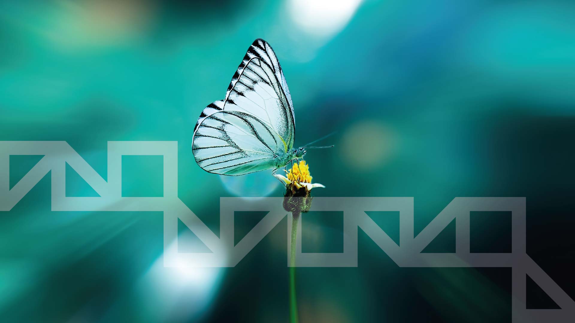<p><strong>Why is our business sustainable?</strong></p>