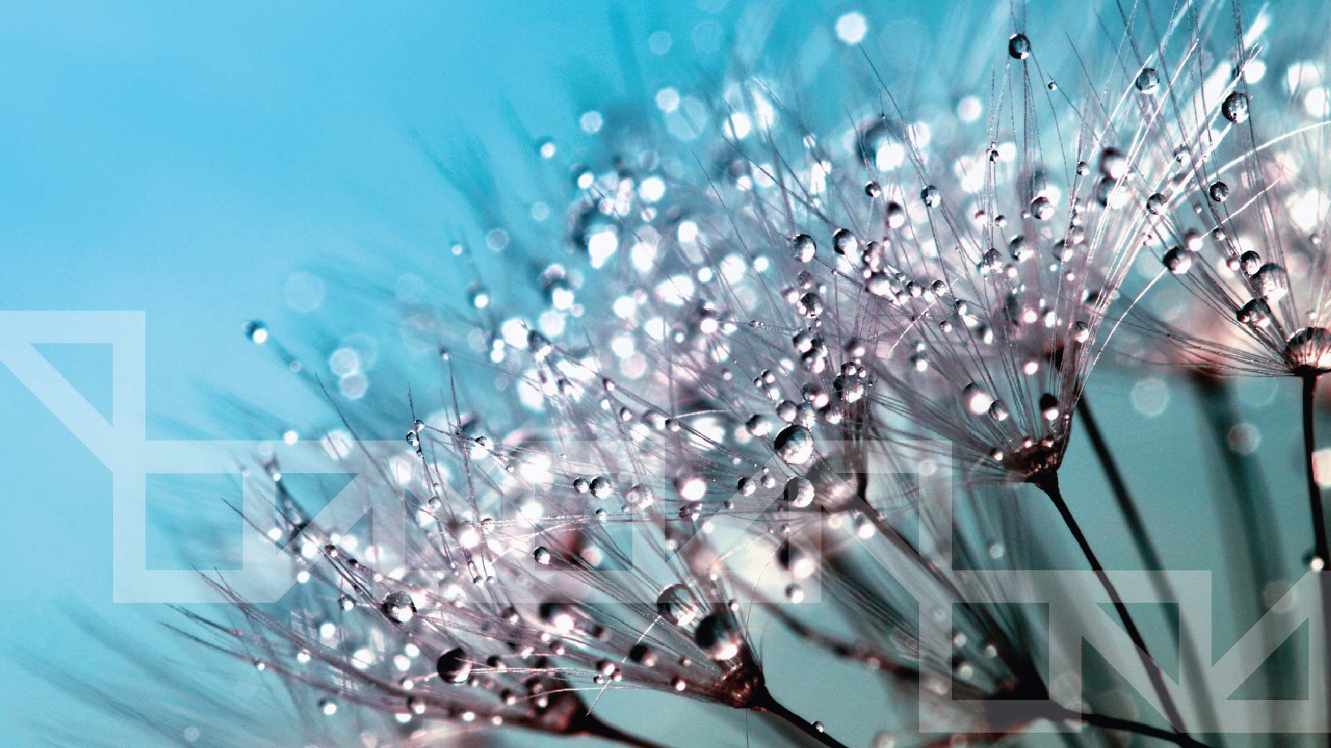 <h2 style="text-align: center;"><strong>Itelyum drives decarbonization across the value chains where it operates</strong></h2>